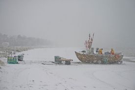 Fischerei, Stellnetzfischerei, Fischereibetrieb Kuse im Ostseebad Binz