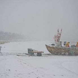 Fischerei, Stellnetzfischerei, Fischereibetrieb Kuse im Ostseebad Binz