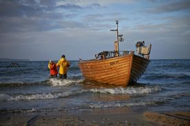 Fischerei, Stellnetzfischerei, Fischereibetrieb Kuse im Ostseebad Binz
