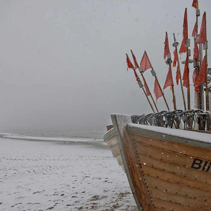 Fischerei, Stellnetzfischerei, Fischereibetrieb Kuse im Ostseebad Binz