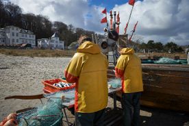 Fischerei, Stellnetzfischerei, Fischereibetrieb Kuse im Ostseebad Binz