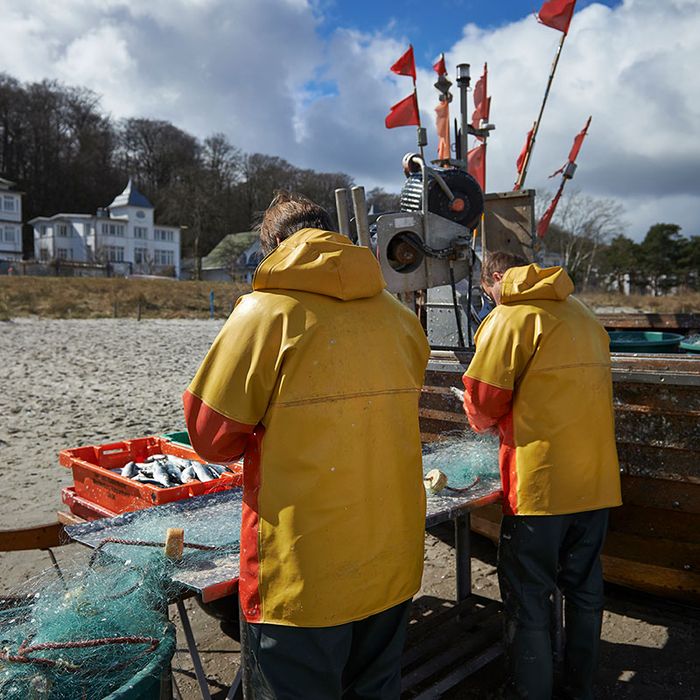 Fischerei, Stellnetzfischerei, Fischereibetrieb Kuse im Ostseebad Binz