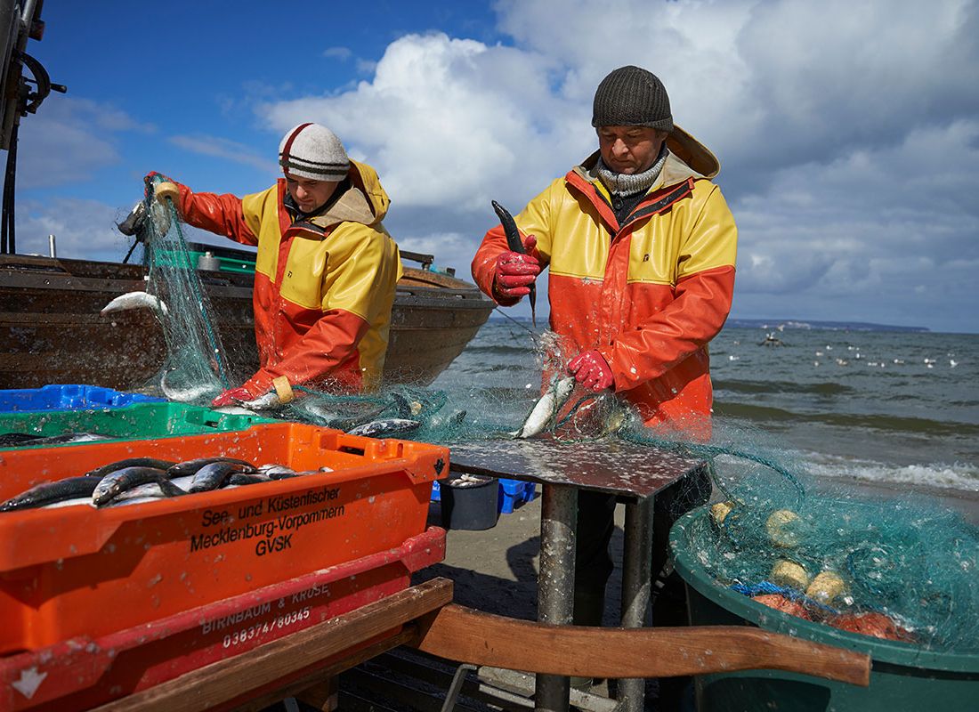 Fischerei, Stellnetzfischerei, Fischereibetrieb Kuse im Ostseebad Binz
