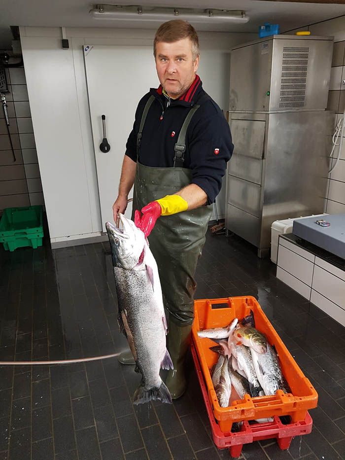 Fischerei, Stellnetzfischerei, Fischereibetrieb Kuse im Ostseebad Binz